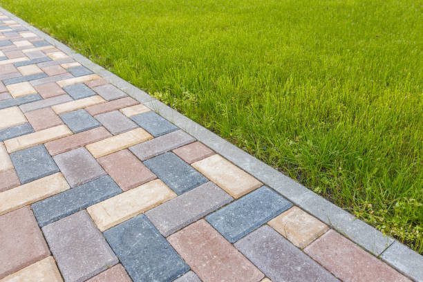 Reasons to Select Us for Your Driveway Paving Requirements in Luna Pier, MI